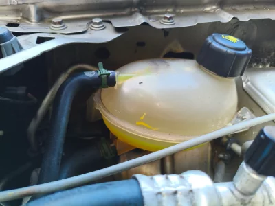 IMG_20260131_141018.webp IMG_20260131_141018.webp