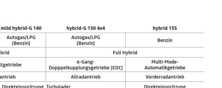 FHybrid Bigster 4x4.webp FHybrid Bigster 4x4.webp