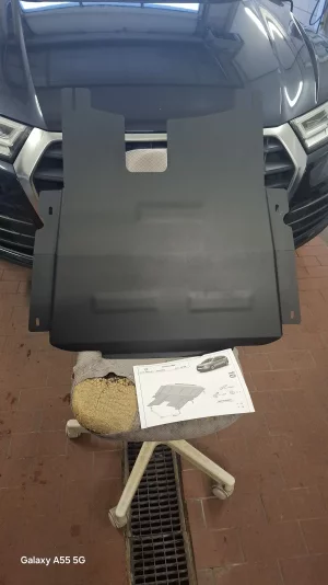 1000069556.webp 1000069556.webp