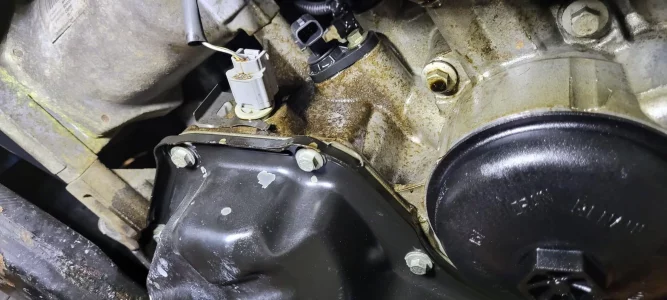 Ölproblem Dokker.webp